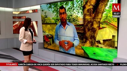 Un grupo de niños fue atacado por abejas africanas en Tapachula, Chiapas