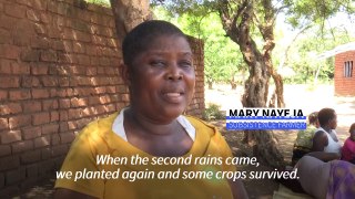 Millions face hunger in Southern Africa as El Nino devastates crops