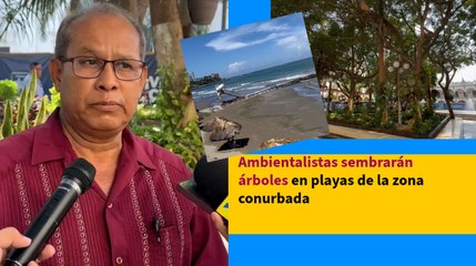 Ambientalistas buscan sembrar árboles en playas de Veracruz para combatir el calor