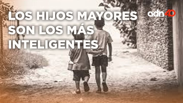 El hijo mayor tiende un IQ mayor al promedio, te explicamos la razón I Explainer