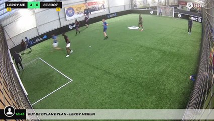 But de dylan dylan - LEROY MERLIN