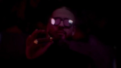 Werenoi (ft. Maes _ SCH) - La vie de star (Visualizer)