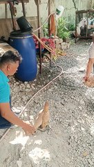 ito pala