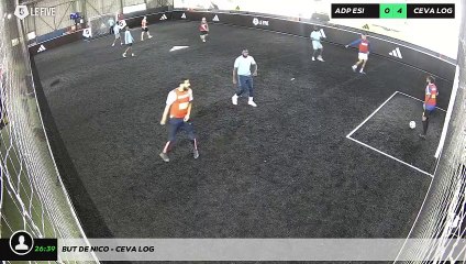 But de nico - CEVA LOG