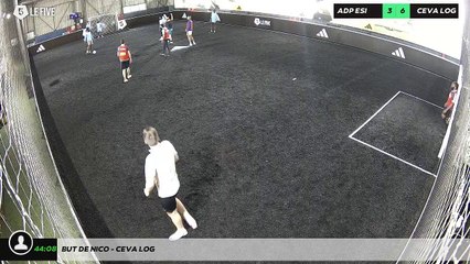 But de nico - CEVA LOG