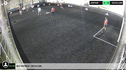 But de nico - CEVA LOG