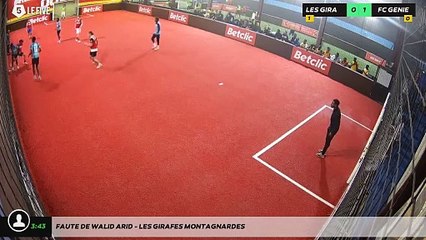 Faute de Walid Arid - LES GIRAFES MONTAGNARDES