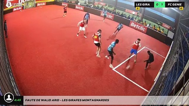 Faute de Walid Arid - LES GIRAFES MONTAGNARDES