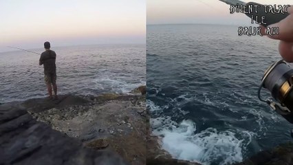 Bu Lambuka Mücadeleci Ruhunu Kaybetmiş