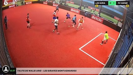 Faute de Walid Arid - LES GIRAFES MONTAGNARDES