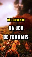 La saga des fourmis de Bernard Werber adapté en jeu !