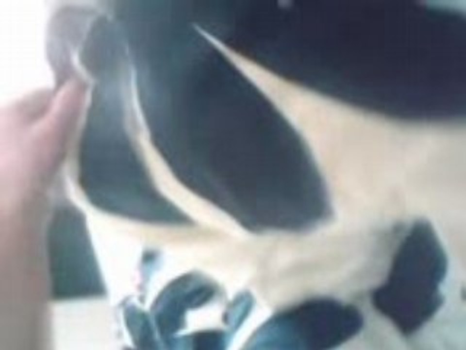 Capitaine chèvre aux lardons - MickXperience -