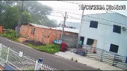 Homem filmado agredindo cão com bastão é indiciado em Francisco Beltrão