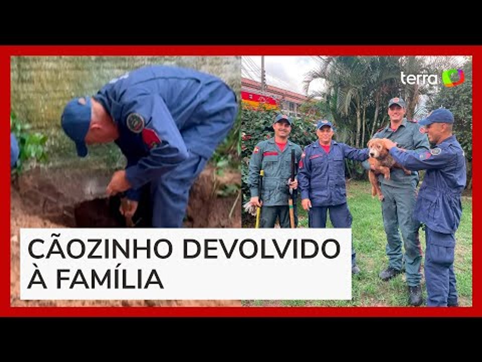 Cão é resgatado após cavar buraco, terra desmoronar e deixar animal preso em SC