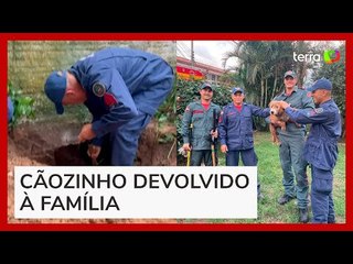 Cão é resgatado após cavar buraco, terra desmoronar e deixar animal preso em SC