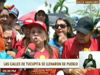 Habitantes del estado Delta Amacuro se movilizan en respaldo al proceso revolucionario