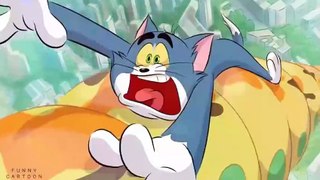 Tom and Jerry - Full Episodes - tom and jerry Singapore - cartoon - funny - english cartoon - cartoon video