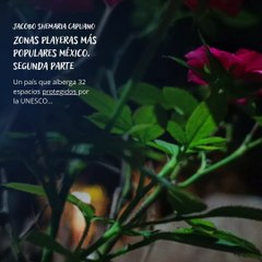 -Jacobo Shemaria Capuano- ¡La costa mexicana es! (Parte 2) (Creado por @JacoboShemariaCapuano)