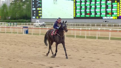 [현장영상+] '장거리 최고 명마는?'...23회 YTN 경마대회 / YTN