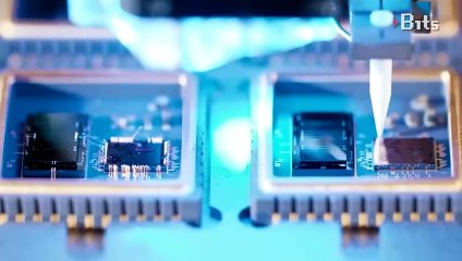 ¿Elon Musk mató a Bitcoin?