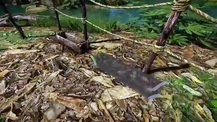 Green Hell - Tráiler de Actualización "Animal Husbandry"