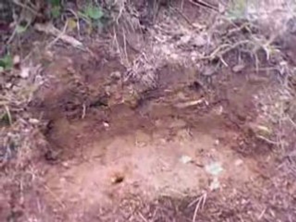 Font-claire Travaux Avril 2008