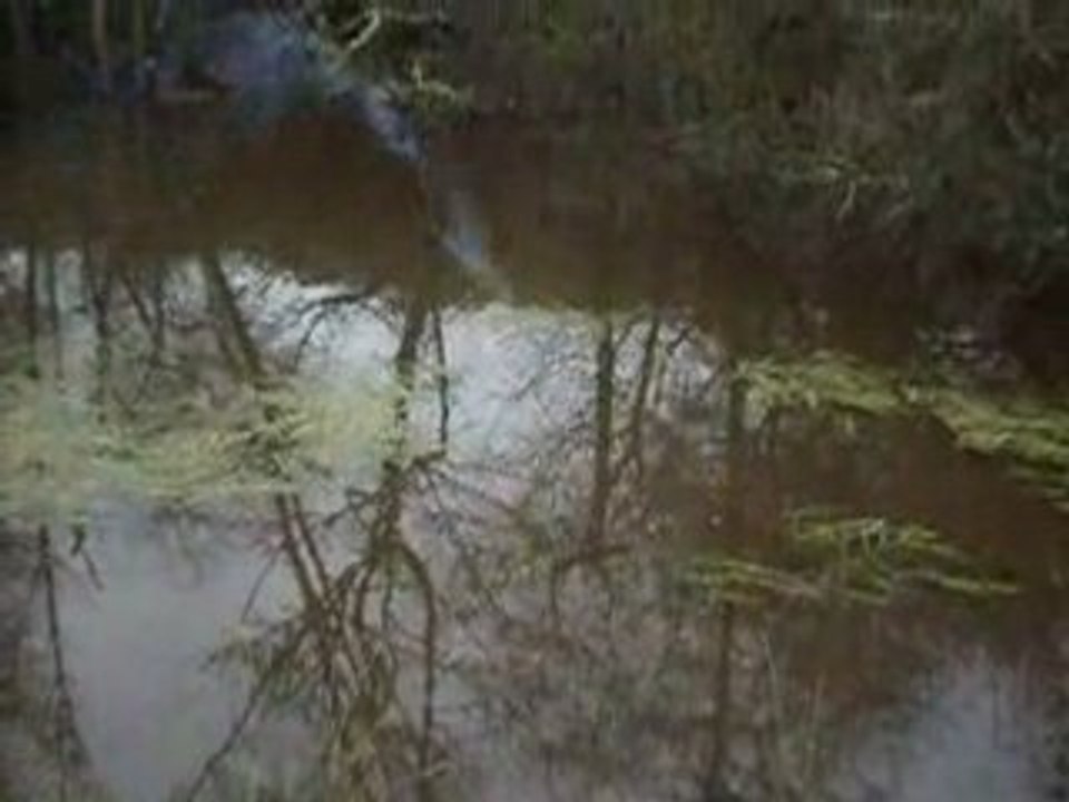 Boum dans l'eau 2