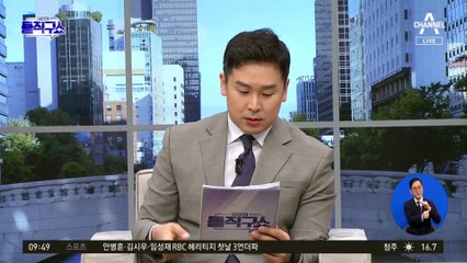 野, 17개 상임위 독식?…“당대표 연임” 미는 이유