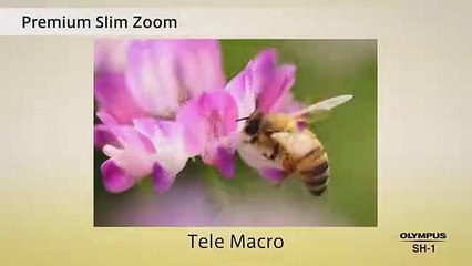 Calidad fotográfica de primera categoría en cuerpo con diseño retro