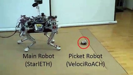 Crean robots de bajo costo que protegen la integridad de otros más caros