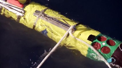 Esta Shark-Cam te muestra como cazan los tiburones blancos