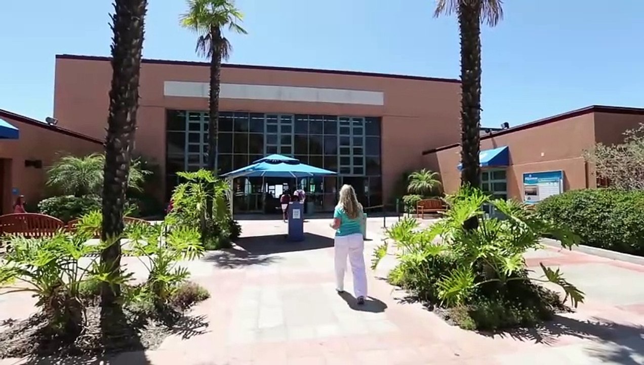 BIrch Aquarium