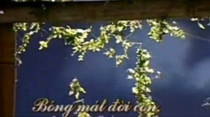 Bóng Mát Đời Con - Mây Trắng