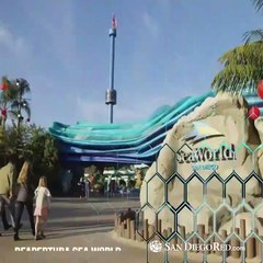 Border News: 4ta semana de agosto, resumen de noticias.