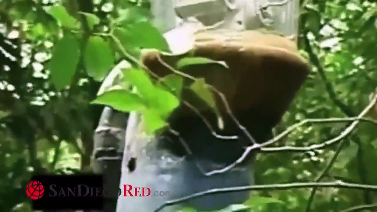 Descubren narco -submarino