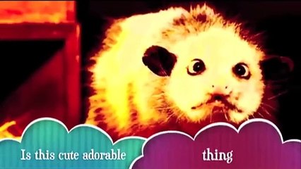 El video musical de Heidi es todo un éxito en youtube