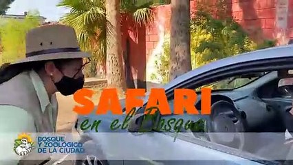 Familias visita el primer safari en Baja California