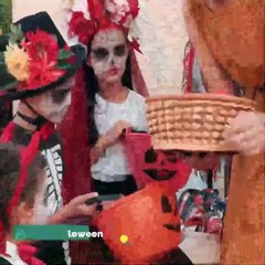 Border News 4ta semana de septiembre