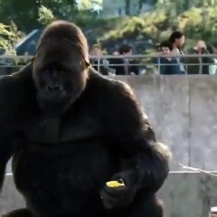 Campaña de concientización de PETA