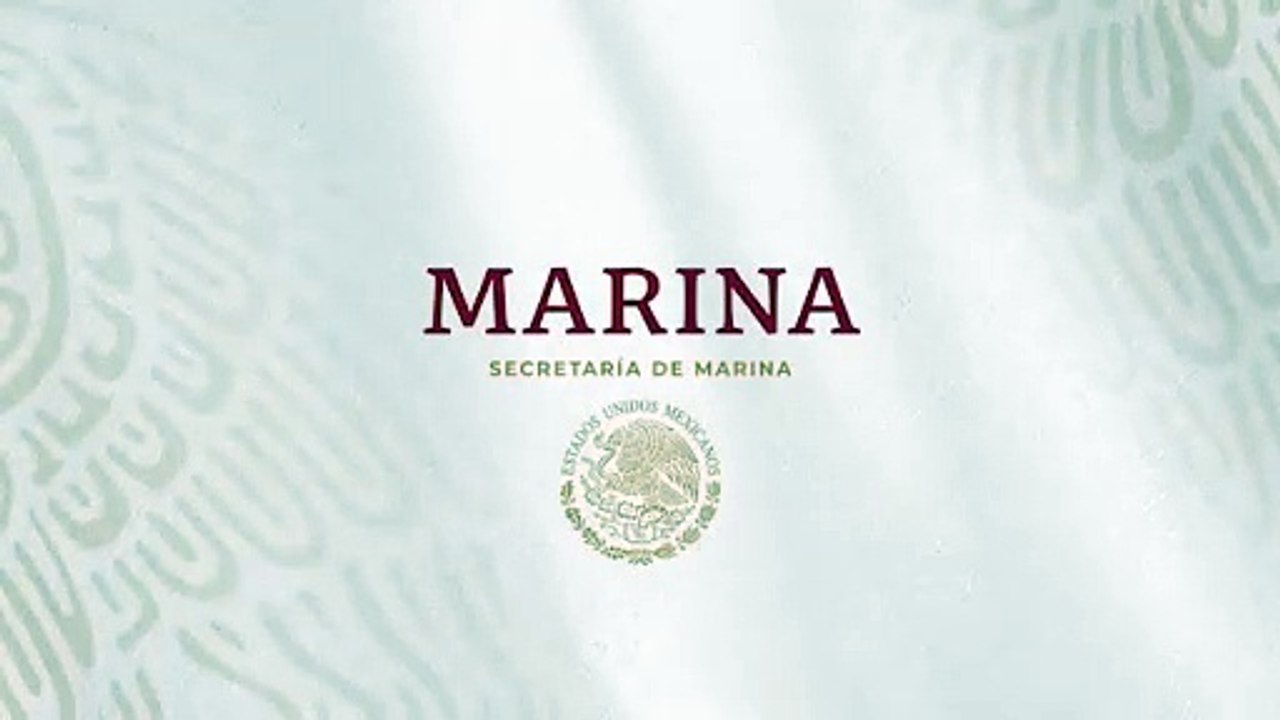 Así retira Marina sargazo en playas de Quintana Roo