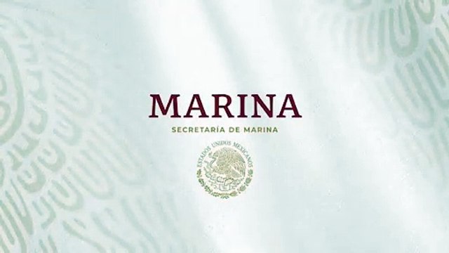 Así retira Marina sargazo en playas de Quintana Roo