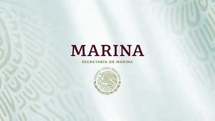 Así retira Marina sargazo en playas de Quintana Roo