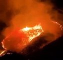 Incendio forestal en Ensenada
