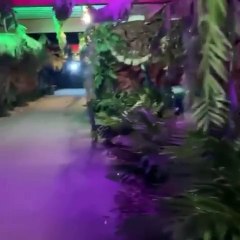 Conoce Jurassic Trail by London Bridge en Tijuana