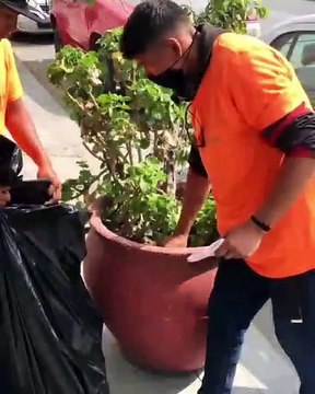 Más de 135 empresas y 500 personas se unieron para crear conciencia en el cuidado ambiental de Ensenada