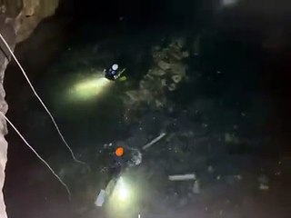 Rescatan perrita de un cenote