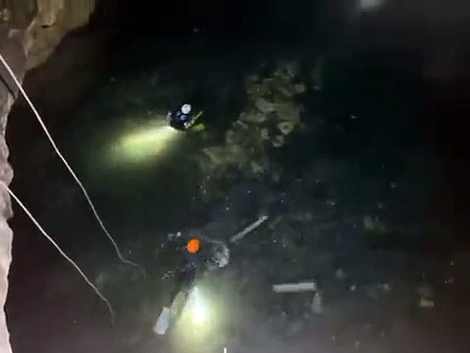 Rescatan perrita de un cenote