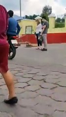 Perro finge no poder caminar para recibir cariños