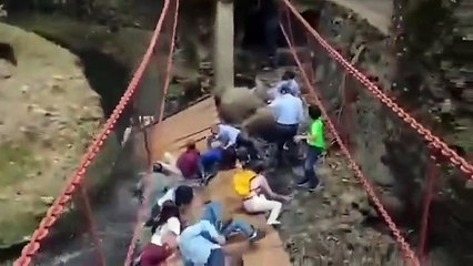 Se cae puente colgante en Cuernavaca al momento de su inauguración