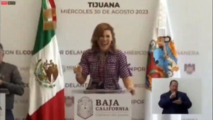 VIDEO: "Estoy leyendo libro incriminatorio sobre Jaime Bonilla", dice Marina del Pilar